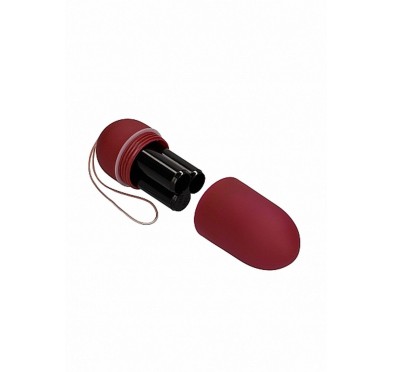 10 Speed Remote Vibrating Egg - Big - Red